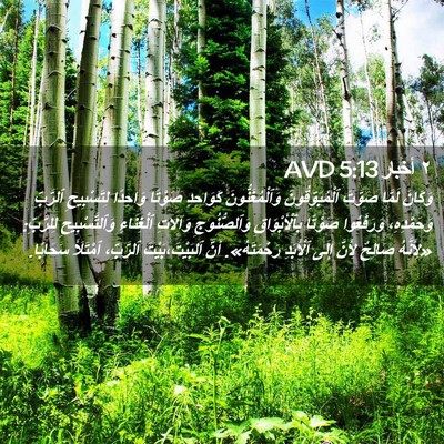 Picture 02 - ٢ أخبار 5:13 AVD - وَكَانَ لَمَّا صَوَّتَ - Bible Verse Picture