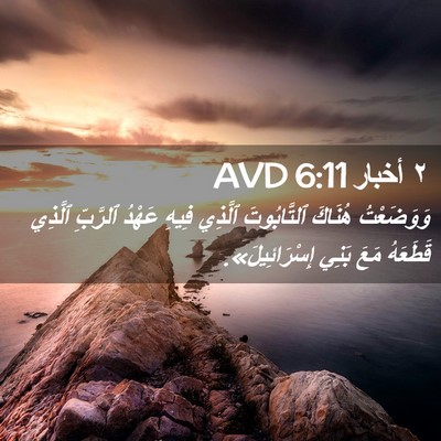 Picture 02 - ٢ أخبار 6:11 AVD - وَوَضَعْتُ هُنَاكَ - Bible Verse Picture