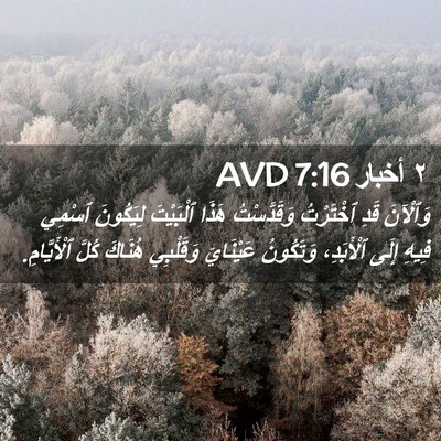 Picture 02 - ٢ أخبار 7:16 AVD - وَٱلْآنَ قَدِ ٱخْتَرْتُ - Bible Verse Picture