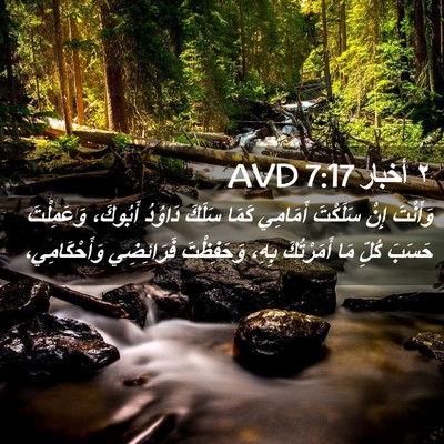 Picture 02 - ٢ أخبار 7:17 AVD - وَأَنْتَ إِنْ سَلَكْتَ - Bible Verse Picture