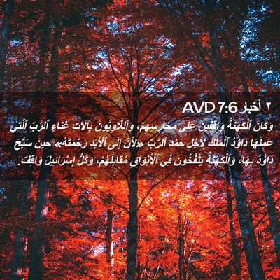 Picture 02 - ٢ أخبار 7:6 AVD - وَكَانَ ٱلْكَهَنَةُ - Bible Verse Picture
