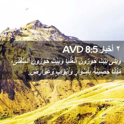 Picture 02 - ٢ أخبار 8:5 AVD - وَبَنَى بَيْتَ حُورُونَ - Bible Verse Picture