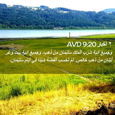 Picture 02 - ٢ أخبار 9:20 AVD - وَجَمِيعُ آنِيَةِ شُرْبِ - Bible Verse Picture