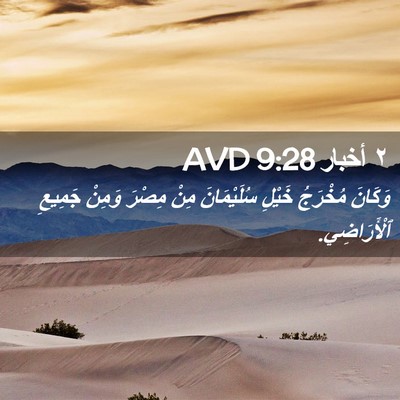 Picture 02 - ٢ أخبار 9:28 AVD - وَكَانَ مُخْرَجُ خَيْلِ - Bible Verse Picture