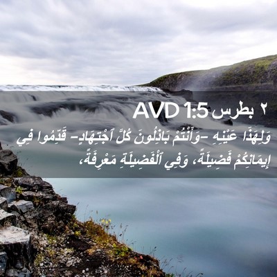 Picture 02 - ٢ بطرس 1:5 AVD - وَلِهَذَا عَيْنِهِ - Bible Verse Picture