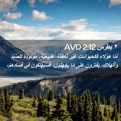 Picture 02 - ٢ بطرس 2:12 AVD - أَمَّا هَؤُلَاءِ - Bible Verse Picture