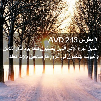 Picture 02 - ٢ بطرس 2:13 AVD - آخِذِينَ أُجْرَةَ - Bible Verse Picture