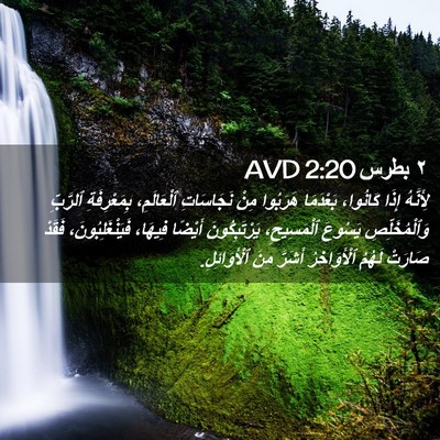 Picture 02 - ٢ بطرس 2:20 AVD - لِأَنَّهُ إِذَا كَانُوا، - Bible Verse Picture