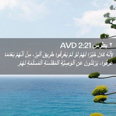 Picture 02 - ٢ بطرس 2:21 AVD - لِأَنَّهُ كَانَ خَيْرًا - Bible Verse Picture