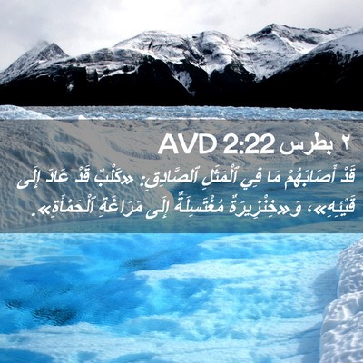 Picture 02 - ٢ بطرس 2:22 AVD - قَدْ أَصَابَهُمْ مَا فِي - Bible Verse Picture