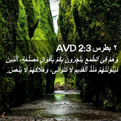 Picture 02 - ٢ بطرس 2:3 AVD - وَهُمْ فِي ٱلطَّمَعِ - Bible Verse Picture