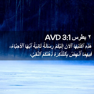 Picture 02 - ٢ بطرس 3:1 AVD - هَذِهِ أَكْتُبُهَا ٱلْآنَ - Bible Verse Picture