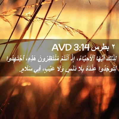Picture 02 - ٢ بطرس 3:14 AVD - لِذَلِكَ أَيُّهَا - Bible Verse Picture