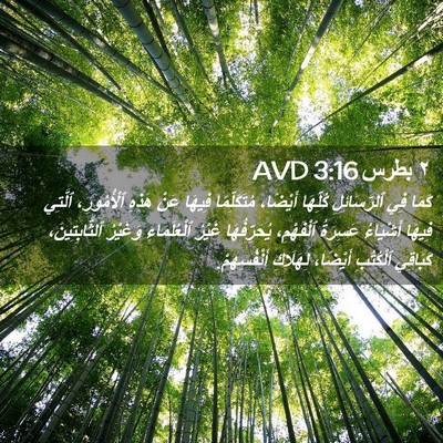 Picture 02 - ٢ بطرس 3:16 AVD - كَمَا فِي ٱلرَّسَائِلِ - Bible Verse Picture