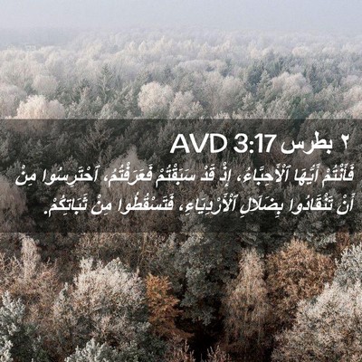 Picture 02 - ٢ بطرس 3:17 AVD - فَأَنْتُمْ أَيُّهَا - Bible Verse Picture