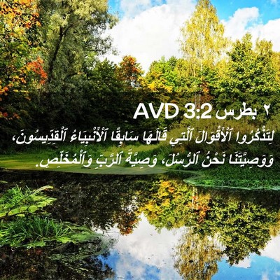 Picture 02 - ٢ بطرس 3:2 AVD - لِتَذْكُرُوا ٱلْأَقْوَالَ - Bible Verse Picture