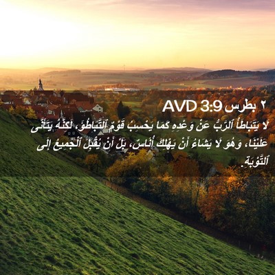 Picture 02 - ٢ بطرس 3:9 AVD - لَا يَتَبَاطَأُ ٱلرَّبُّ - Bible Verse Picture