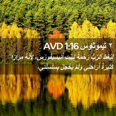 Picture 02 - ٢ تيموثاوس 1:16 AVD - لِيُعْطِ ٱلرَّبُّ - Bible Verse Picture