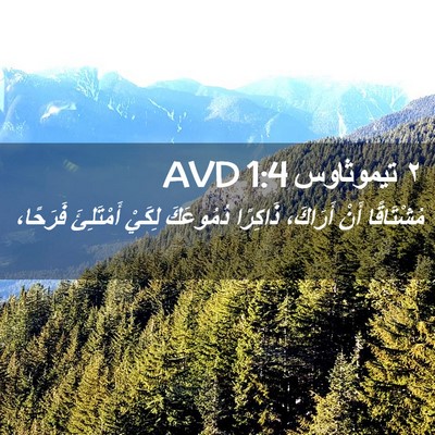 Picture 02 - ٢ تيموثاوس 1:4 AVD - مُشْتَاقًا أَنْ أَرَاكَ، - Bible Verse Picture