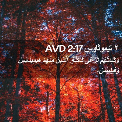 Picture 02 - ٢ تيموثاوس 2:17 AVD - وَكَلِمَتُهُمْ تَرْعَى - Bible Verse Picture
