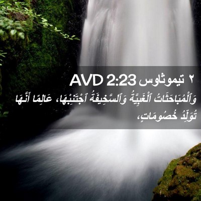 Picture 02 - ٢ تيموثاوس 2:23 AVD - وَٱلْمُبَاحَثَاتُ - Bible Verse Picture