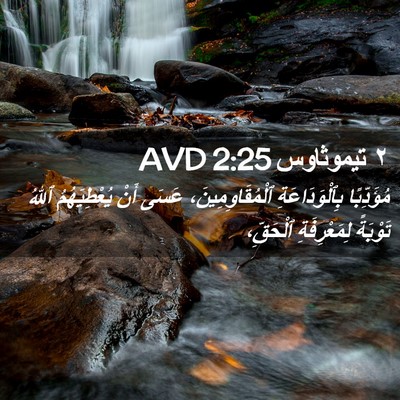 Picture 02 - ٢ تيموثاوس 2:25 AVD - مُؤَدِّبًا بِٱلْوَدَاعَةِ - Bible Verse Picture