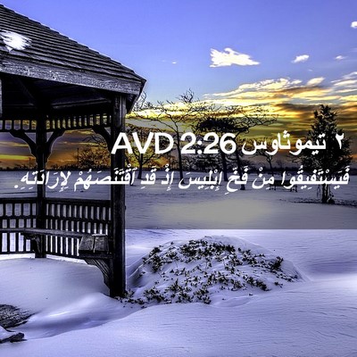 Picture 02 - ٢ تيموثاوس 2:26 AVD - فَيَسْتَفِيقُوا مِنْ - Bible Verse Picture