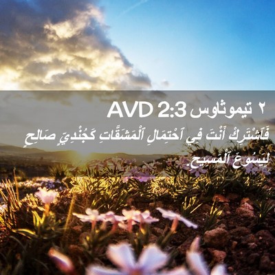 Picture 02 - ٢ تيموثاوس 2:3 AVD - فَٱشْتَرِكْ أَنْتَ فِي - Bible Verse Picture