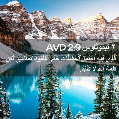 Picture 02 - ٢ تيموثاوس 2:9 AVD - ٱلَّذِي فِيهِ أَحْتَمِلُ - Bible Verse Picture