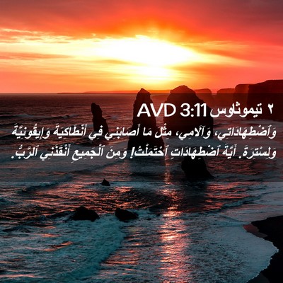 Picture 02 - ٢ تيموثاوس 3:11 AVD - وَٱضْطِهَادَاتِي، - Bible Verse Picture