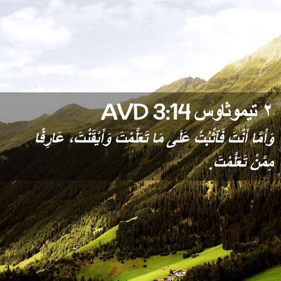 Picture 02 - ٢ تيموثاوس 3:14 AVD - وَأَمَّا أَنْتَ فَٱثْبُتْ - Bible Verse Picture