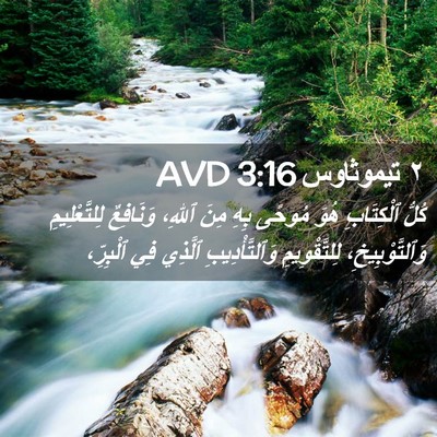 Picture 02 - ٢ تيموثاوس 3:16 AVD - كُلُّ ٱلْكِتَابِ هُوَ - Bible Verse Picture