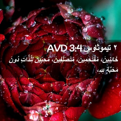 Picture 02 - ٢ تيموثاوس 3:4 AVD - خَائِنِينَ، - Bible Verse Picture