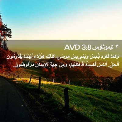 Picture 02 - ٢ تيموثاوس 3:8 AVD - وَكَمَا قَاوَمَ يَنِّيسُ - Bible Verse Picture