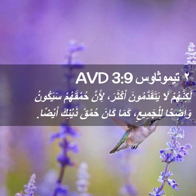 Picture 02 - ٢ تيموثاوس 3:9 AVD - لَكِنَّهُمْ لَا - Bible Verse Picture