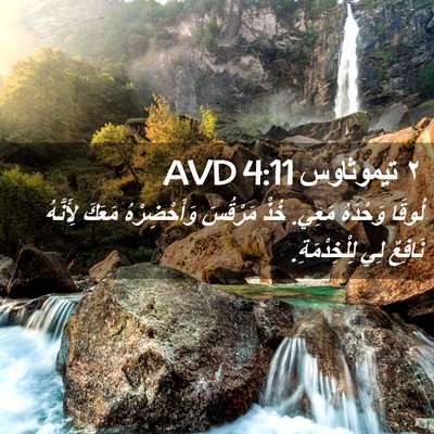 Picture 02 - ٢ تيموثاوس 4:11 AVD - لُوقَا وَحْدَهُ مَعِي. - Bible Verse Picture