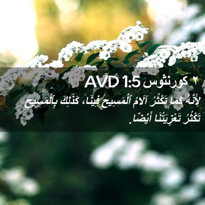Picture 02 - ٢ كورنثوس 1:5 AVD - لِأَنَّهُ كَمَا تَكْثُرُ - Bible Verse Picture