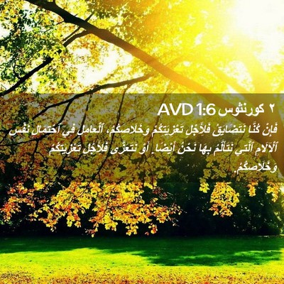 Picture 02 - ٢ كورنثوس 1:6 AVD - فَإِنْ كُنَّا نَتَضَايَقُ - Bible Verse Picture