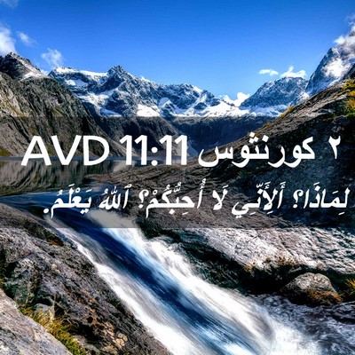 Picture 02 - ٢ كورنثوس 11:11 AVD - لِمَاذَا؟ أَلِأَنِّي لَا - Bible Verse Picture