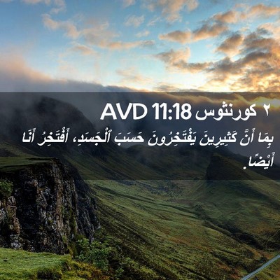 Picture 02 - ٢ كورنثوس 11:18 AVD - بِمَا أَنَّ كَثِيرِينَ - Bible Verse Picture