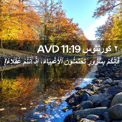 Picture 02 - ٢ كورنثوس 11:19 AVD - فَإِنَّكُمْ بِسُرُورٍ - Bible Verse Picture
