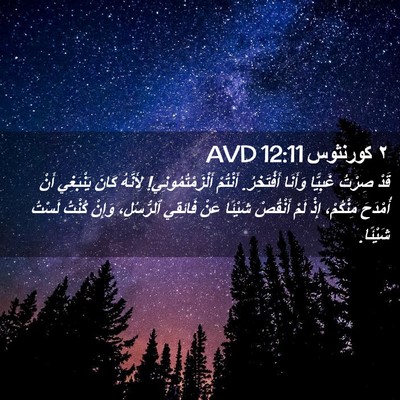Picture 02 - ٢ كورنثوس 12:11 AVD - قَدْ صِرْتُ غَبِيًّا - Bible Verse Picture