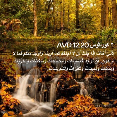 Picture 02 - ٢ كورنثوس 12:20 AVD - لِأَنِّي أَخَافُ إِذَا - Bible Verse Picture