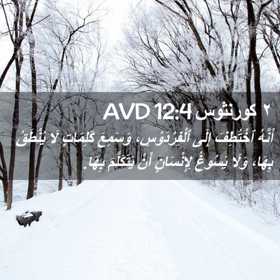 Picture 02 - ٢ كورنثوس 12:4 AVD - أَنَّهُ ٱخْتُطِفَ إِلَى - Bible Verse Picture