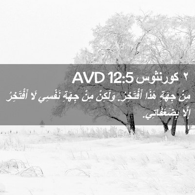 Picture 02 - ٢ كورنثوس 12:5 AVD - مِنْ جِهَةِ هَذَا - Bible Verse Picture