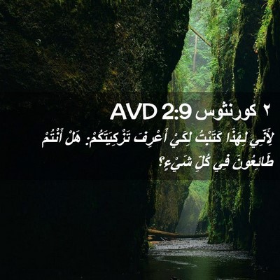 Picture 02 - ٢ كورنثوس 2:9 AVD - لِأَنِّي لِهَذَا كَتَبْتُ - Bible Verse Picture