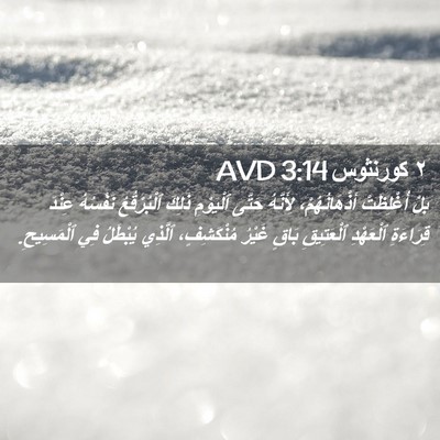 Picture 02 - ٢ كورنثوس 3:14 AVD - بَلْ أُغْلِظَتْ - Bible Verse Picture