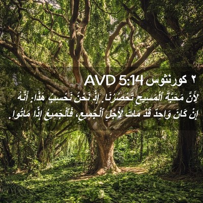 Picture 02 - ٢ كورنثوس 5:14 AVD - لِأَنَّ مَحَبَّةَ - Bible Verse Picture