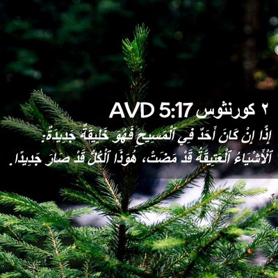 Picture 02 - ٢ كورنثوس 5:17 AVD - إِذًا إِنْ كَانَ أَحَدٌ - Bible Verse Picture