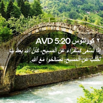 Picture 02 - ٢ كورنثوس 5:20 AVD - إِذًا نَسْعَى كَسُفَرَاءَ - Bible Verse Picture